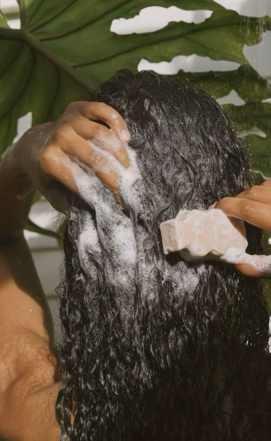 SHAMPOO FÜR TROCKENES HAAR